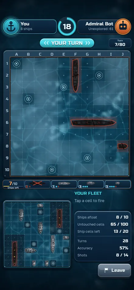 Sink the enemy fleet